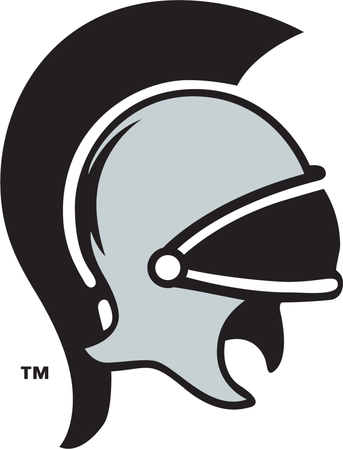 Troy Trojans 1999-2004 Secondary Logo v2 DIY iron on transfer (heat transfer)
